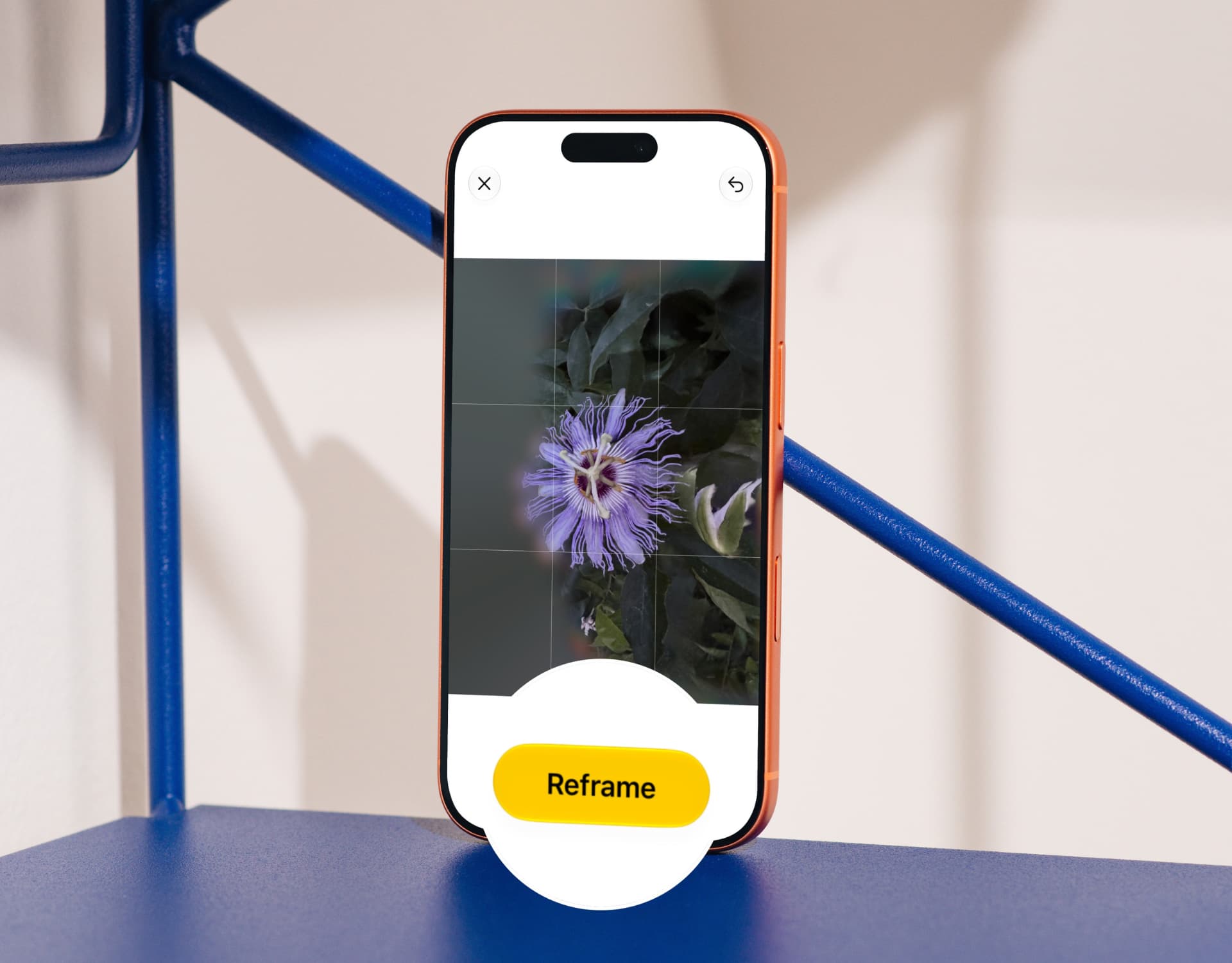 Descubre cómo cambiar el ángulo de tus fotos en iOS 27