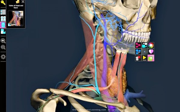 aplicaciones-estudio-medicina